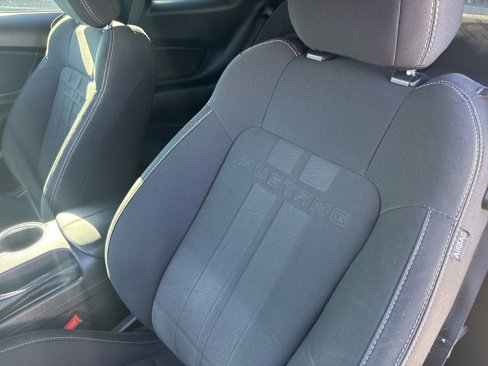 Used 2019 Ford Mustang Coupe w/ Equipment Group 101A image 32