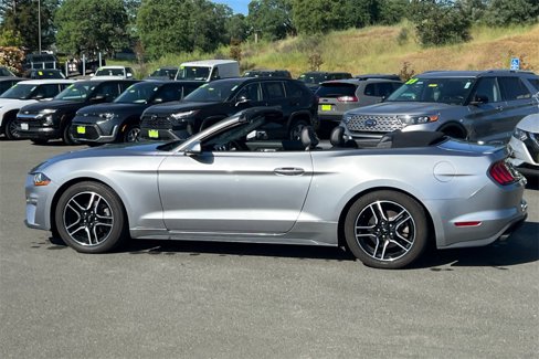 Used 2022 Ford Mustang Premium image 11