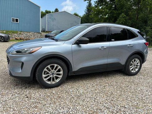 Used 2022 Ford Escape SE image 1