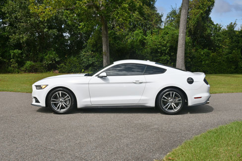 Used 2015 Ford Mustang Premium w/ Equipment Group 201A image 2