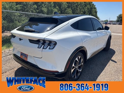 Used 2021 Ford Mustang Mach-E Premium image 6
