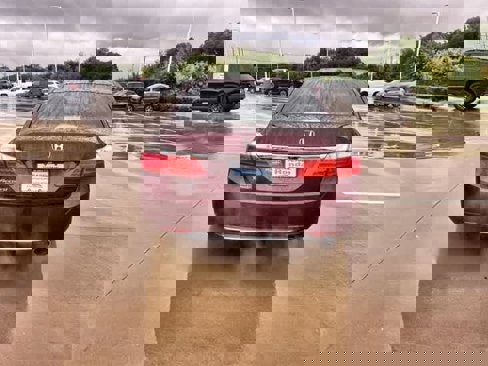 Used 2013 Honda Accord EX-L image 6