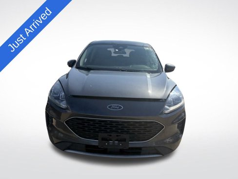 Used 2020 Ford Escape SE image 2