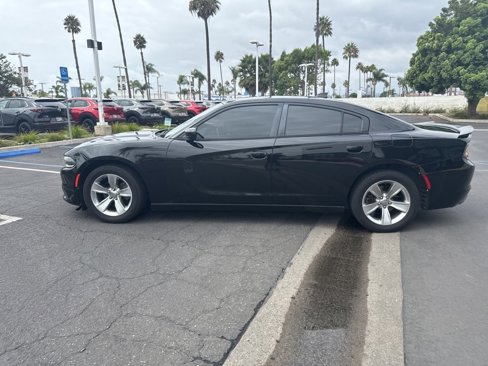 Used 2017 Dodge Charger SXT w/ Blacktop Package image 16