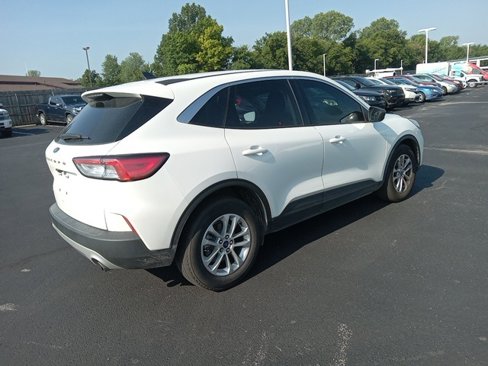 Used 2022 Ford Escape SE w/ Convenience Package image 7