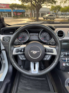 Used 2018 Ford Mustang Premium image 12