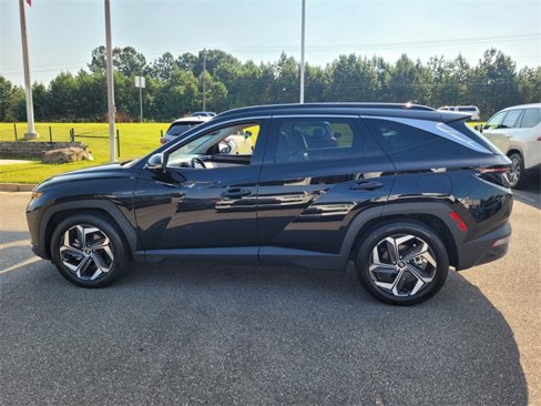 Used 2024 Hyundai Tucson Limited image 5