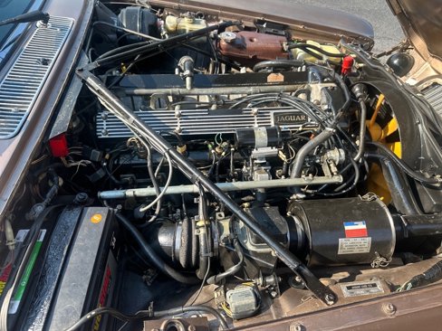 Used 1986 Jaguar XJ Vanden Plas image 24