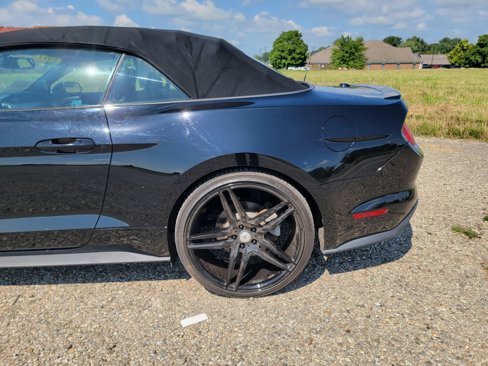 Used 2017 Ford Mustang Premium image 7