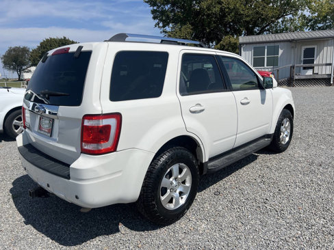 Used 2009 Ford Escape Limited image 4