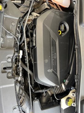 Used 2014 Ford Escape SE image 7