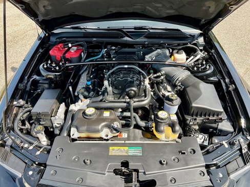 Used 2008 Ford Mustang Shelby GT500 image 12