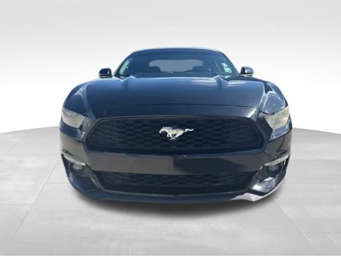 Used 2017 Ford Mustang Premium w/ Ecoboost Performance Package image 2