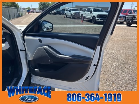 Used 2021 Ford Mustang Mach-E Premium image 28