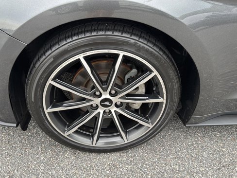 Used 2019 Ford Mustang Premium w/ Equipment Group 201A image 29