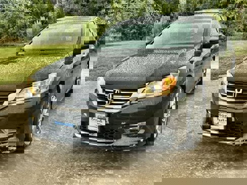 Used 2013 Honda Accord Sport image 2