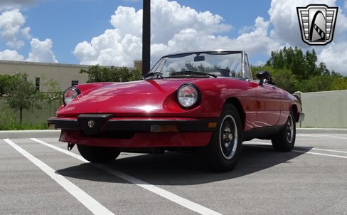 Used 1986 Alfa Romeo Spider Graduate image 25
