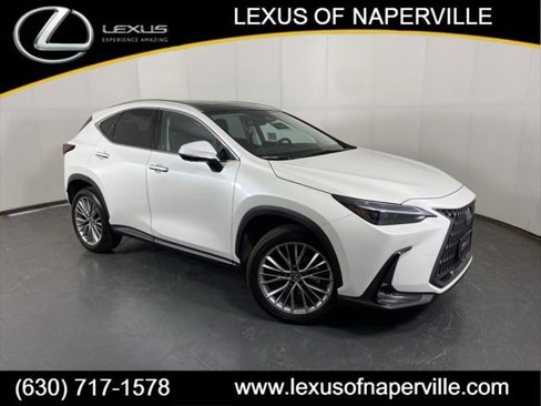 Certified 2024 Lexus NX 350 AWD w/ Luxury Package image 1