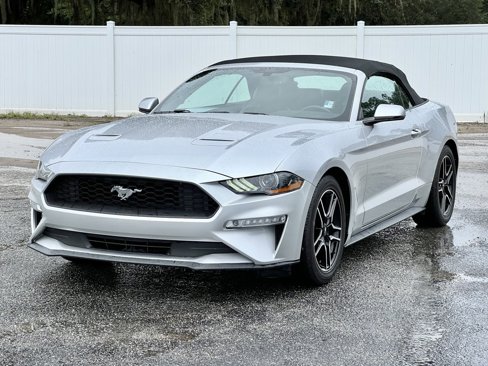 Used 2019 Ford Mustang Premium image 9