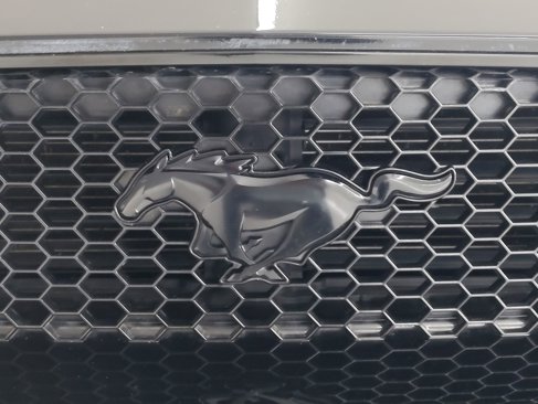 Used 2021 Ford Mustang GT w/ Black Accent Package image 12