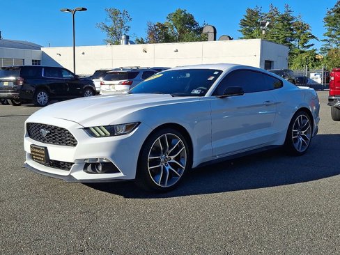Used 2017 Ford Mustang Premium w/ Equipment Group 201A image 3