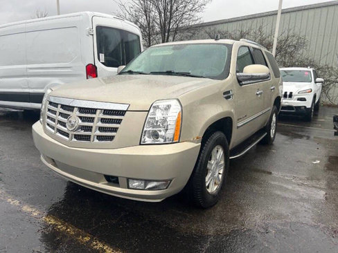 Used 2008 Cadillac Escalade AWD image 3