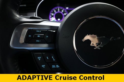 Used 2022 Ford Mustang GT Premium w/ GT Performance Package image 41