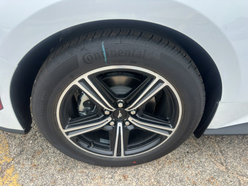 New 2025 Ford Mustang Coupe image 16