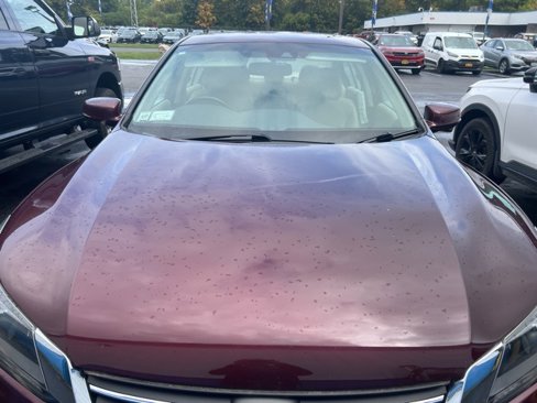 Used 2013 Honda Accord EX-L image 2