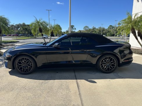 Used 2019 Ford Mustang Premium w/ Equipment Group 201A image 8