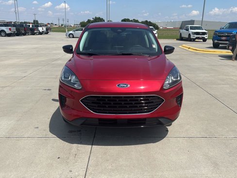Used 2022 Ford Escape SE w/ SE Sport Appearance Package image 8