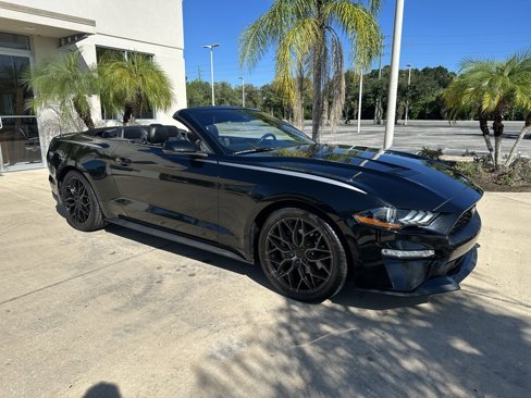 Used 2019 Ford Mustang Premium w/ Equipment Group 201A image 1