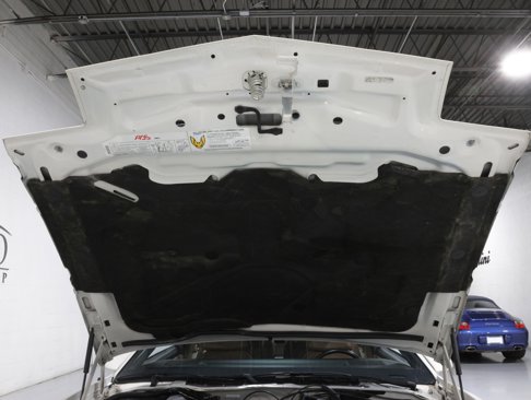 Used 1989 Pontiac Firebird Trans Am image 46