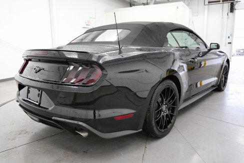 Used 2020 Ford Mustang Premium image 7