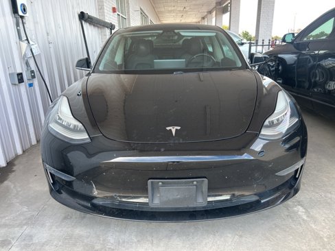 Used 2019 Tesla Model 3 Standard Range Plus image 15