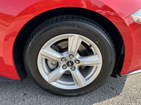 Used 2018 Ford Mustang Coupe image 12