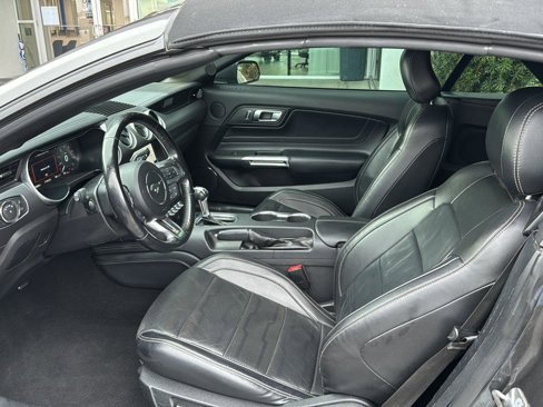 Used 2019 Ford Mustang Premium w/ Equipment Group 201A image 8