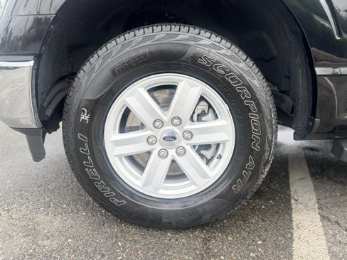 Used 2021 Ford F150 XL w/ Equipment Group 101A High image 3