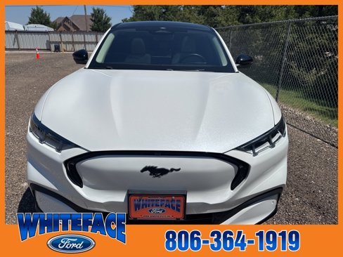 Used 2021 Ford Mustang Mach-E Premium image 9