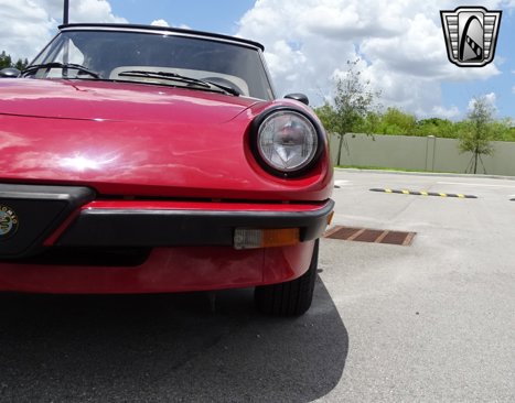 Used 1986 Alfa Romeo Spider Graduate image 20