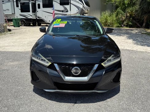 Used 2019 Nissan Maxima 3.5 SV image 2