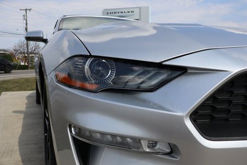 Used 2019 Ford Mustang Premium image 4
