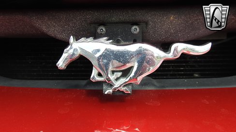 Used 2001 Ford Mustang Cobra image 10