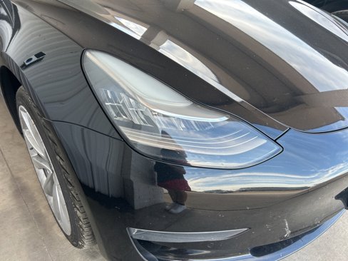 Used 2019 Tesla Model 3 Standard Range Plus image 16