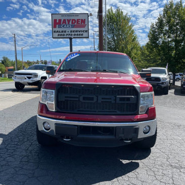 Used 2014 Ford F150 XLT w/ Equipment Group 302A Luxury image 8