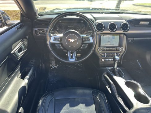 Used 2019 Ford Mustang Premium w/ Equipment Group 201A image 3