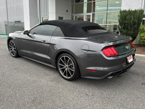 Used 2019 Ford Mustang Premium w/ Equipment Group 201A image 3