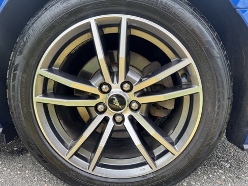 Used 2017 Ford Mustang Premium image 15