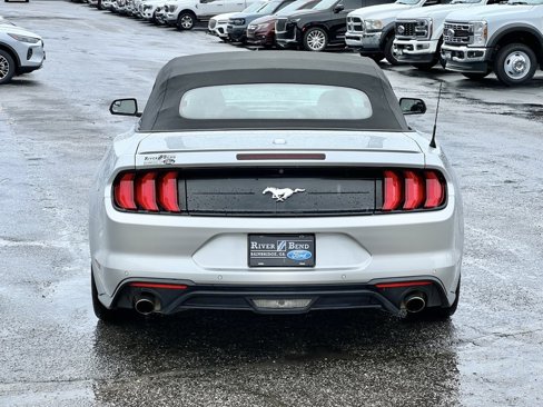 Used 2019 Ford Mustang Premium image 12