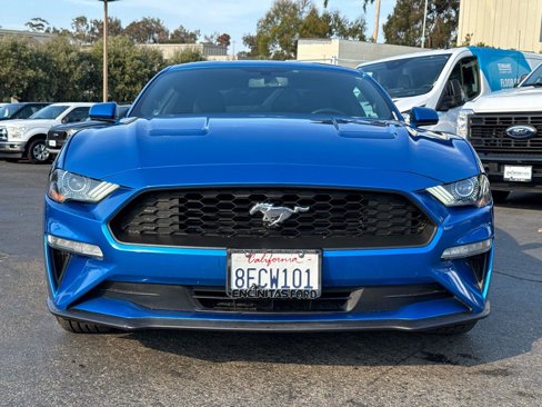 Used 2019 Ford Mustang Coupe w/ Equipment Group 101A image 5